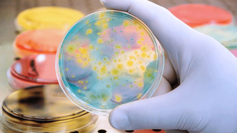 苏州生物科技有限公司