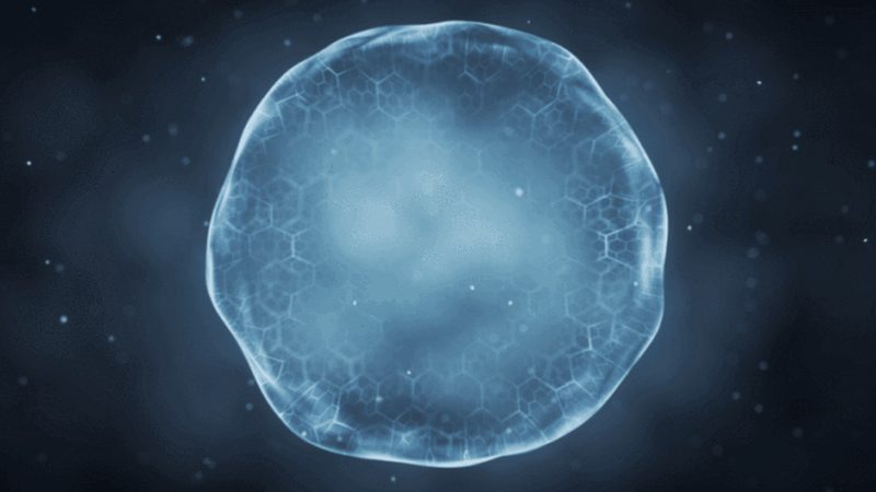 精准掌控，步步为营：可调式移液器校准方法全解析**