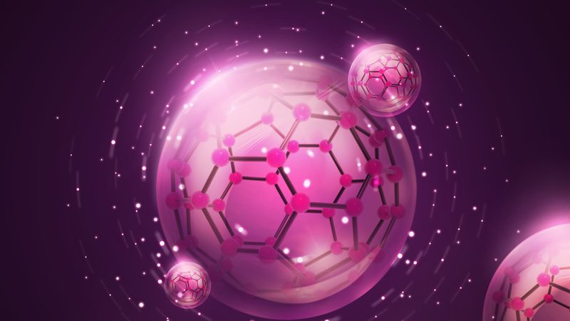 引物合成：定制过程中的关键注意事项