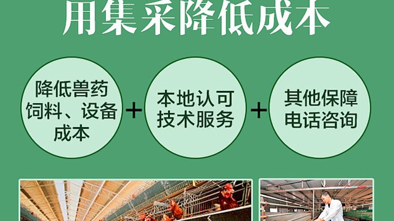 细胞培养基：揭秘种类分类与关键应用场景