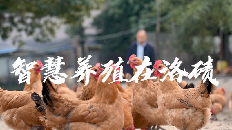 生物制品GMP认证验证：确保产品质量的坚实基石**