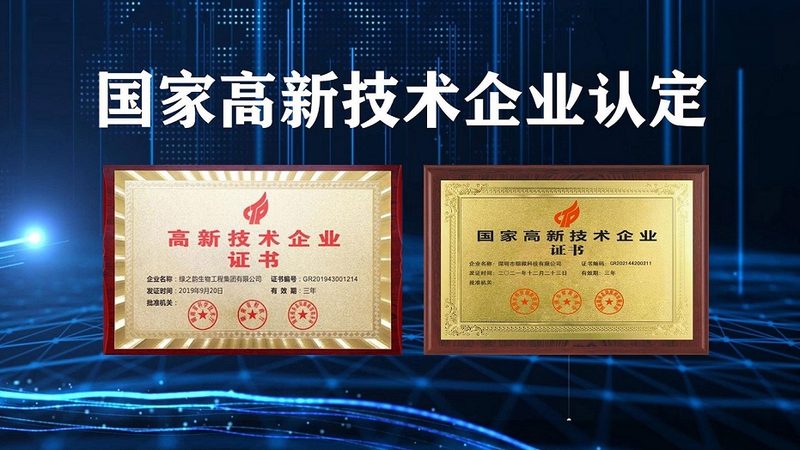 CDMO服务流程揭秘：从研发到生产的关键环节