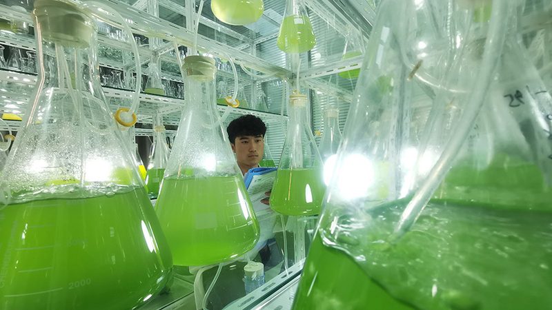 血液制品不良反应处理：关键步骤与应对策略**